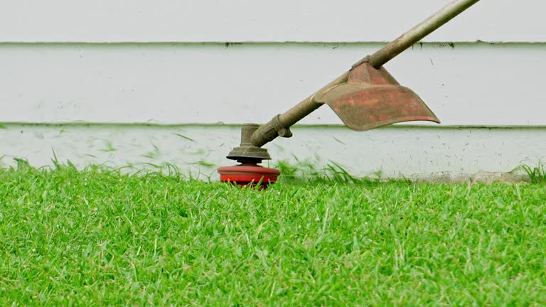 Best Hedge Trimming  in River Road, OR